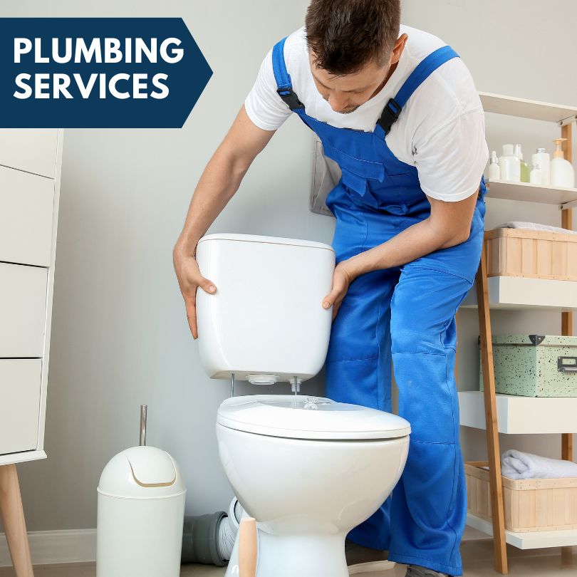 Plumbing Company in Woodland, MI